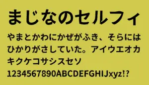 まじなのセルフィ